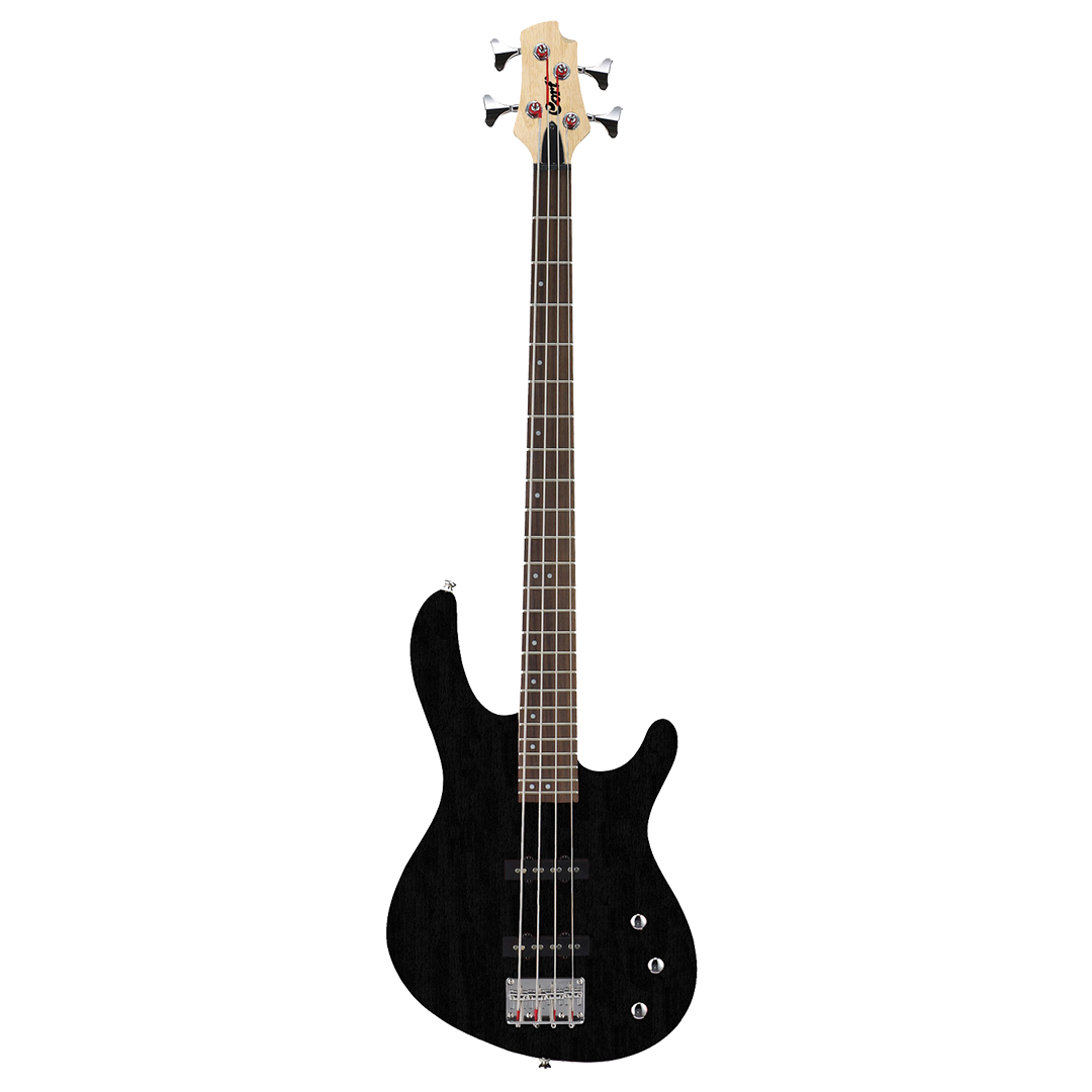 Cort Action JJ Bass Guitar